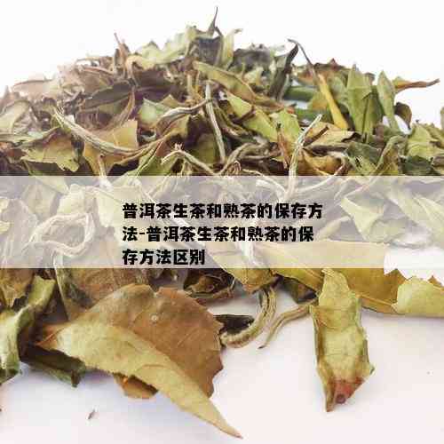 普洱茶生茶和熟茶的保存方法-普洱茶生茶和熟茶的保存方法区别