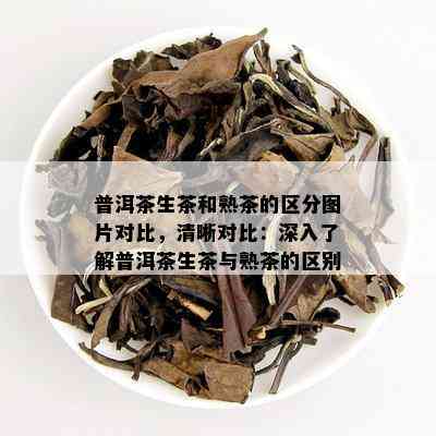 普洱茶生茶和熟茶的区分图片对比，清晰对比：深入了解普洱茶生茶与熟茶的区别