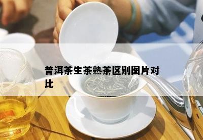 普洱茶生茶熟茶区别图片对比