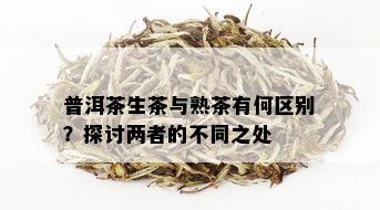 普洱茶生茶与熟茶有何区别？探讨两者的不同之处