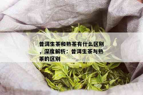 普洱生茶和熟茶有什么区别，深度解析：普洱生茶与熟茶的区别