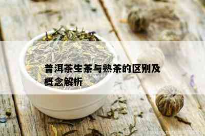 普洱茶生茶与熟茶的区别及概念解析