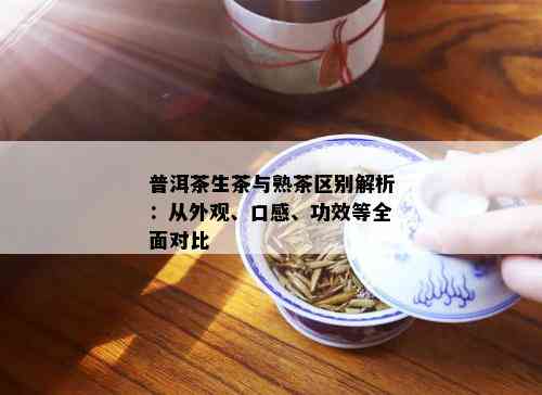 普洱茶生茶与熟茶区别解析：从外观、口感、功效等全面对比