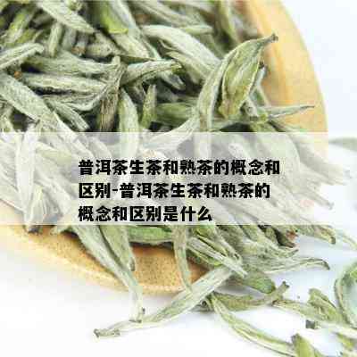 普洱茶生茶和熟茶的概念和区别-普洱茶生茶和熟茶的概念和区别是什么