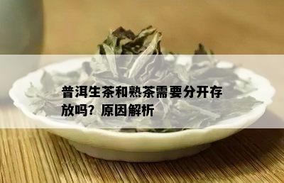 普洱生茶和熟茶需要分开存放吗？原因解析