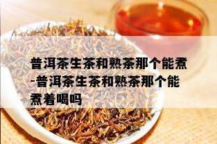 普洱茶生茶和熟茶那个能煮-普洱茶生茶和熟茶那个能煮着喝吗