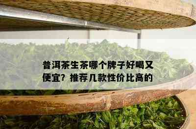 普洱茶生茶哪个牌子好喝又便宜？推荐几款性价比高的