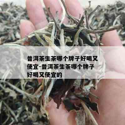 普洱茶生茶哪个牌子好喝又便宜-普洱茶生茶哪个牌子好喝又便宜的