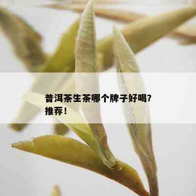 普洱茶生茶哪个牌子好喝？推荐！