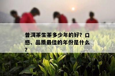 普洱茶生茶多少年的好？口感、品质更佳的年份是什么？