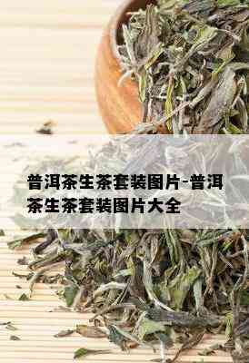 普洱茶生茶套装图片-普洱茶生茶套装图片大全