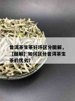 普洱茶生茶好坏区分图解，【图解】如何区分普洱茶生茶的优劣？