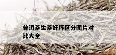 普洱茶生茶好坏区分图片对比大全