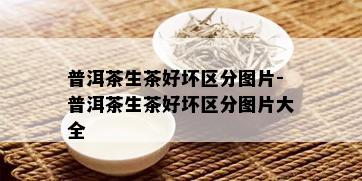 普洱茶生茶好坏区分图片-普洱茶生茶好坏区分图片大全