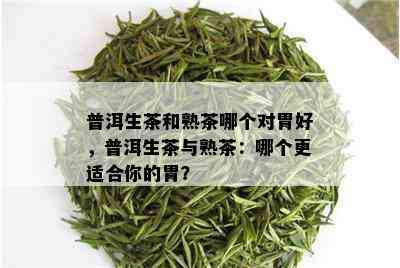 普洱生茶和熟茶哪个对胃好，普洱生茶与熟茶：哪个更适合你的胃？