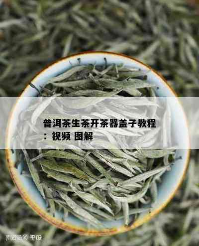 普洱茶生茶开茶器盖子教程：视频 图解