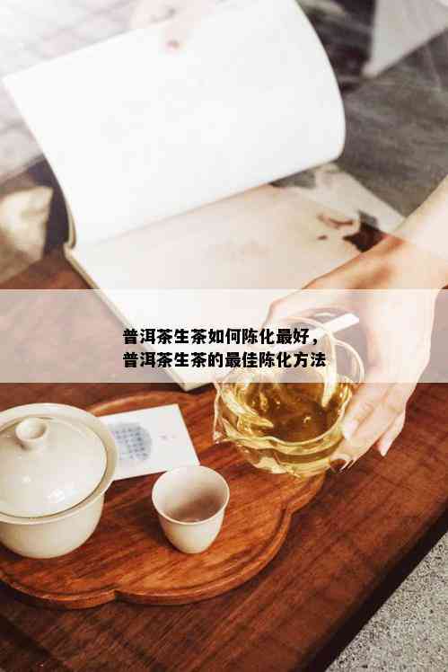 普洱茶生茶如何陈化更好，普洱茶生茶的更佳陈化方法