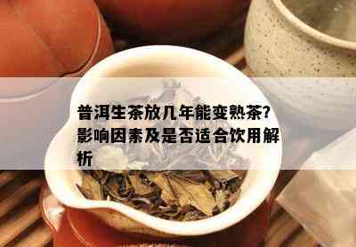 普洱生茶放几年能变熟茶？影响因素及是否适合饮用解析