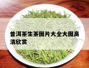 普洱茶生茶图片大全大图高清欣赏