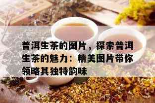 普洱生茶的图片，探索普洱生茶的魅力：精美图片带你领略其独特韵味