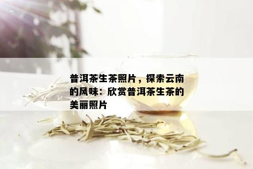 普洱茶生茶照片，探索云南的风味：欣赏普洱茶生茶的美丽照片