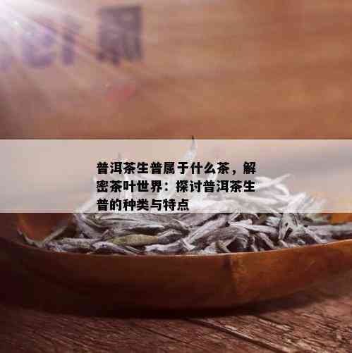 普洱茶生普属于什么茶，解密茶叶世界：探讨普洱茶生普的种类与特点