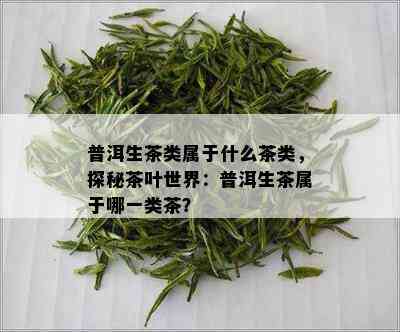 普洱生茶类属于什么茶类，探秘茶叶世界：普洱生茶属于哪一类茶？