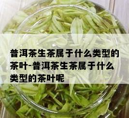 普洱茶生茶属于什么类型的茶叶-普洱茶生茶属于什么类型的茶叶呢