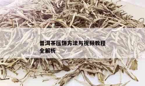 普洱茶压饼方法与视频教程全解析