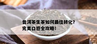 普洱茶生茶如何更佳转化？完美口感全攻略！