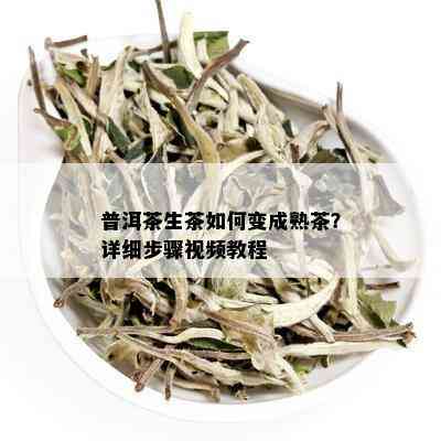 普洱茶生茶如何变成熟茶？详细步骤视频教程