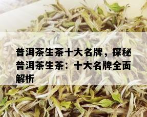 普洱茶生茶十大名牌，探秘普洱茶生茶：十大名牌全面解析