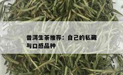 普洱生茶推荐：自己的私藏与口感品种