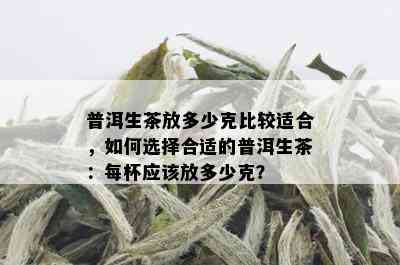 普洱生茶放多少克比较适合，如何选择合适的普洱生茶：每杯应该放多少克？