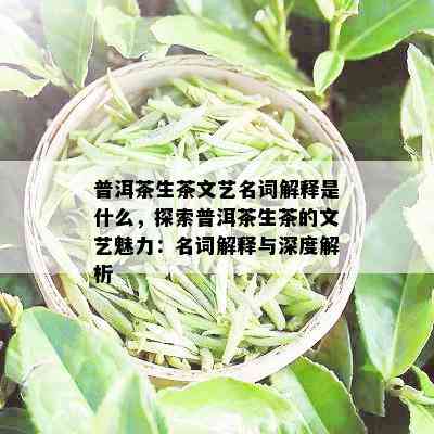 普洱茶生茶文艺名词解释是什么，探索普洱茶生茶的文艺魅力：名词解释与深度解析