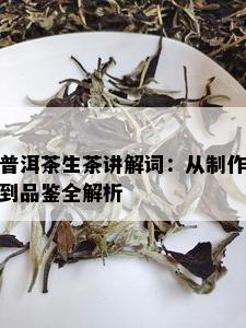 普洱茶生茶讲解词：从制作到品鉴全解析