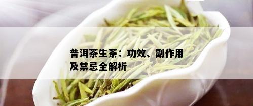 普洱茶生茶：功效、副作用及禁忌全解析