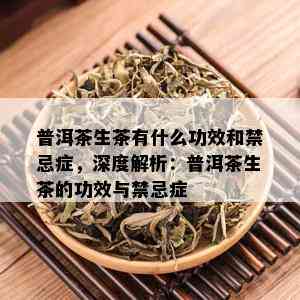 普洱茶生茶有什么功效和禁忌症，深度解析：普洱茶生茶的功效与禁忌症