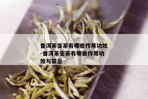 普洱茶生茶有哪些作用功效-普洱茶生茶有哪些作用功效与禁忌