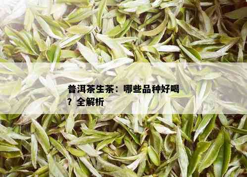 普洱茶生茶：哪些品种好喝？全解析