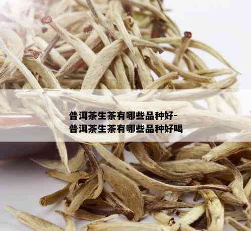 普洱茶生茶有哪些品种好-普洱茶生茶有哪些品种好喝