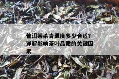 普洱茶杀青温度多少合适？详解影响茶叶品质的关键因素