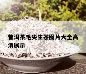 普洱茶毛尖生茶图片大全高清展示