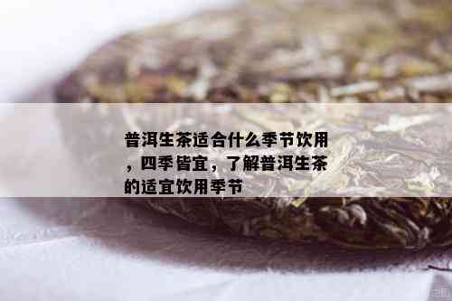 普洱生茶适合什么季节饮用，四季皆宜，了解普洱生茶的适宜饮用季节