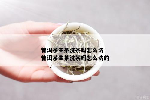 普洱茶生茶洗茶吗怎么洗-普洱茶生茶洗茶吗怎么洗的