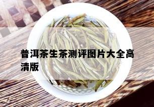 普洱茶生茶测评图片大全高清版