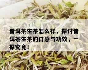 普洱茶生茶怎么样，探讨普洱茶生茶的口感与功效，一探究竟！