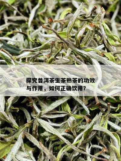 探究普洱茶生茶熟茶的功效与作用，如何正确饮用？