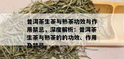 普洱茶生茶与熟茶功效与作用禁忌，深度解析：普洱茶生茶与熟茶的的功效、作用及禁忌