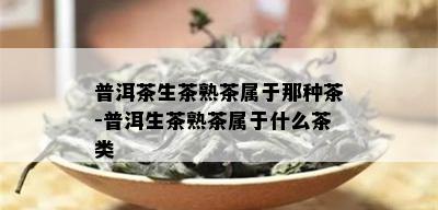 普洱茶生茶熟茶属于那种茶-普洱生茶熟茶属于什么茶类